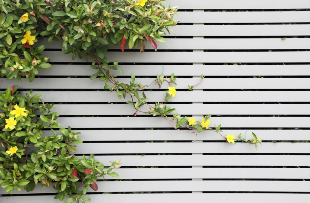 Privacy Slat Fencing