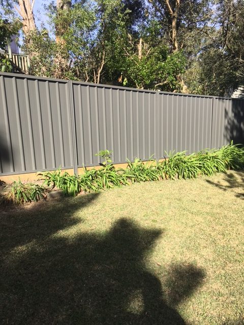 colorbond fence in backyard