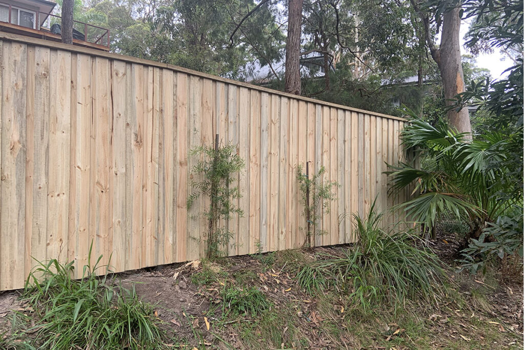 backyard timber slat fence central coast